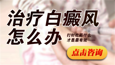 ԰综λƤ