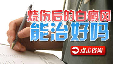 综νڲŽϺ