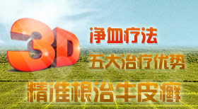 3D��Ѫ�Ʒ������������