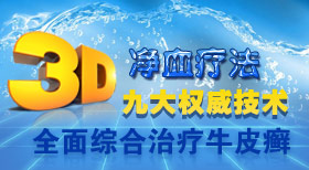 3D��Ѫ�Ʒ��Ŵ�Ȩ������