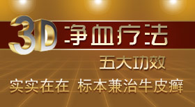 3D��Ѫ�Ʒ��ٴ����Ч