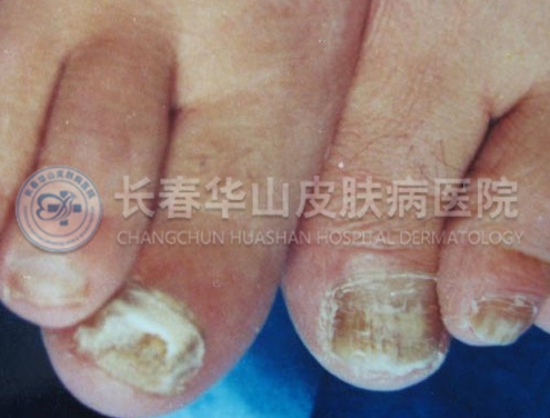 �����������ƻ�ָ��