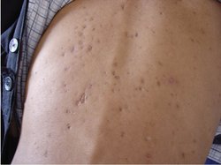 ��ν���ţƤѢ�Ǽ�������